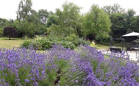 Stoneleigh Barn Bed&Breakfast